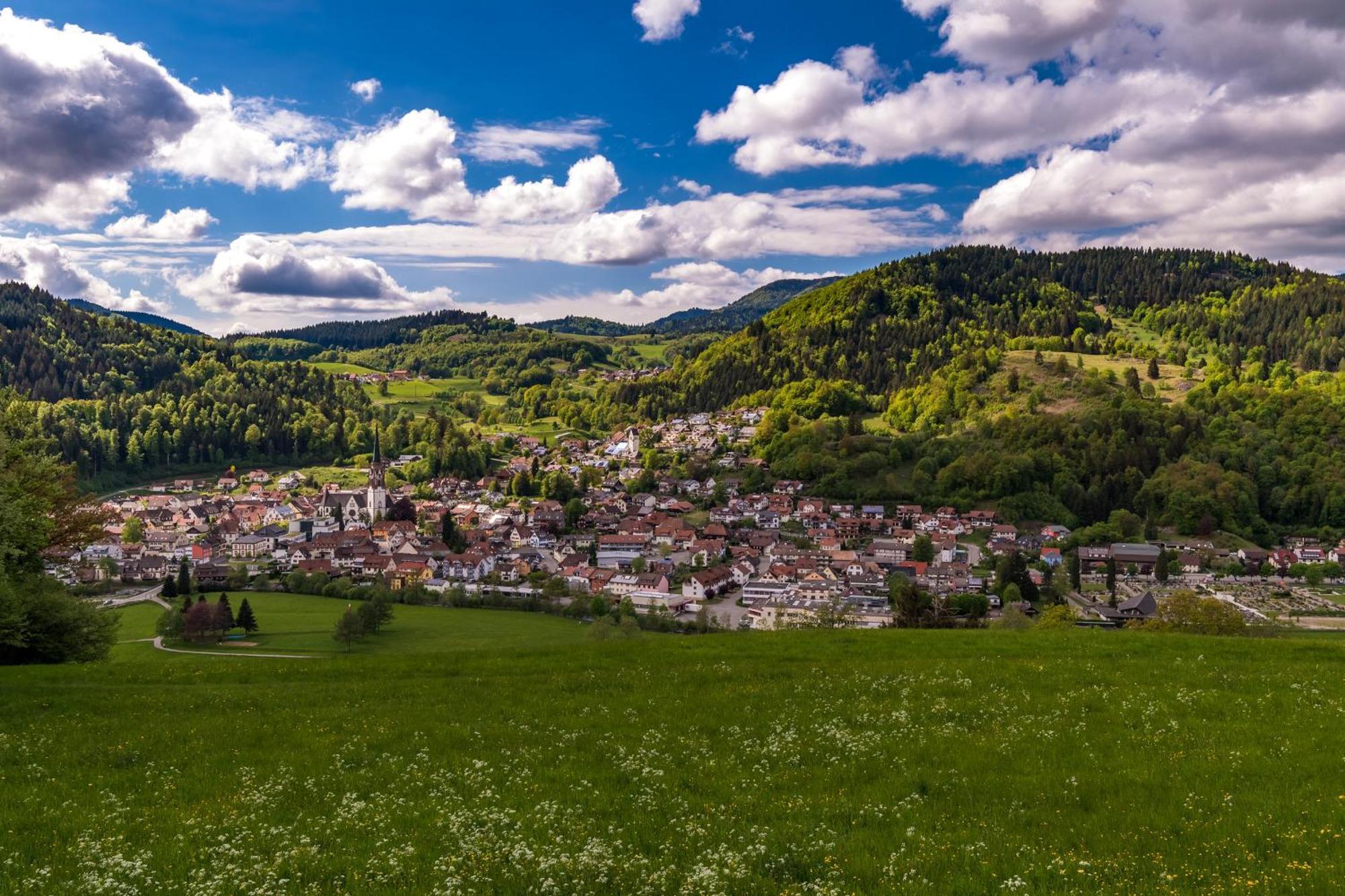 Ferienwohnung Traumblick Schönau im Schwarzwald Eksteriør billede