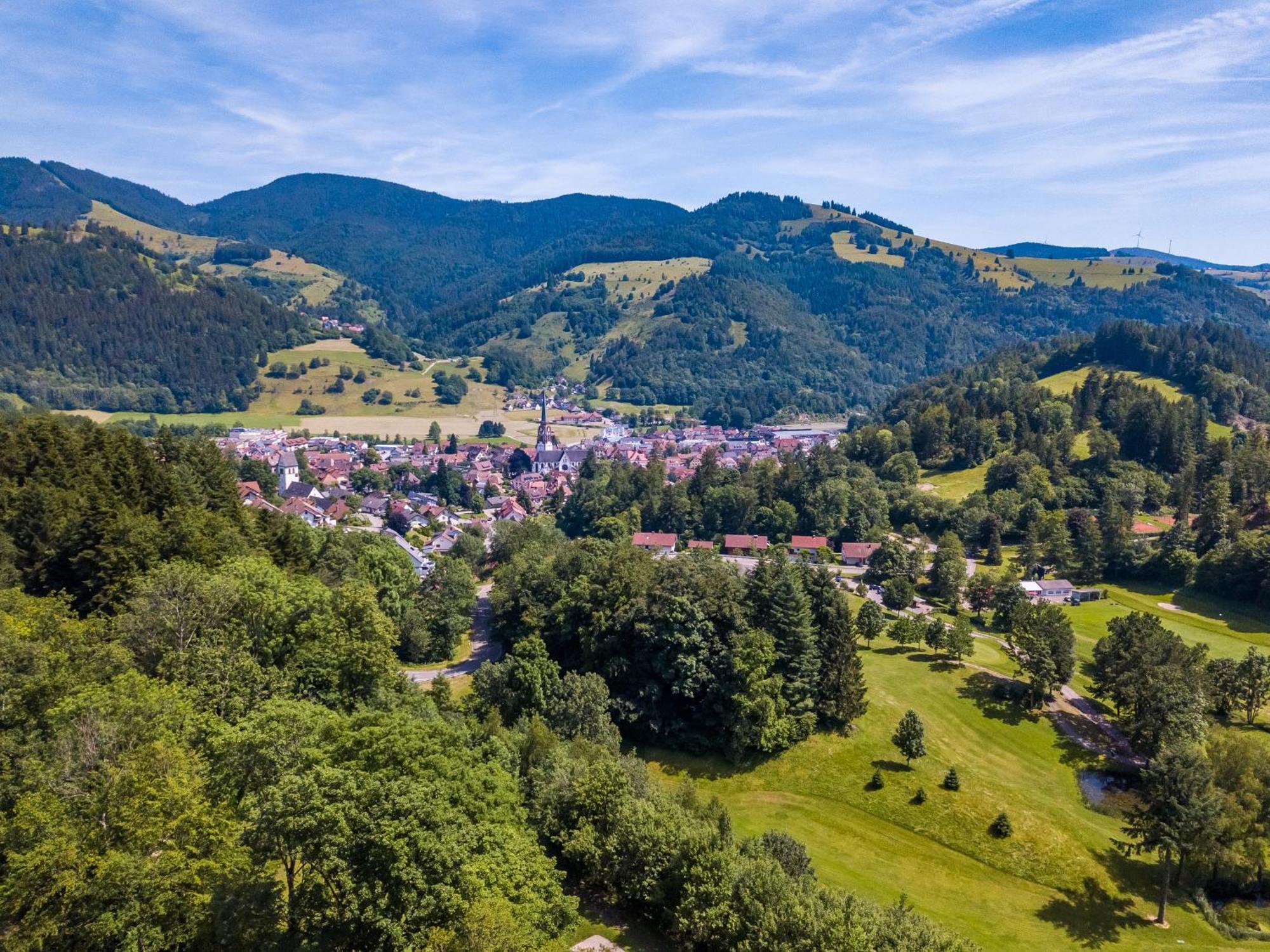 Ferienwohnung Traumblick Schönau im Schwarzwald Eksteriør billede