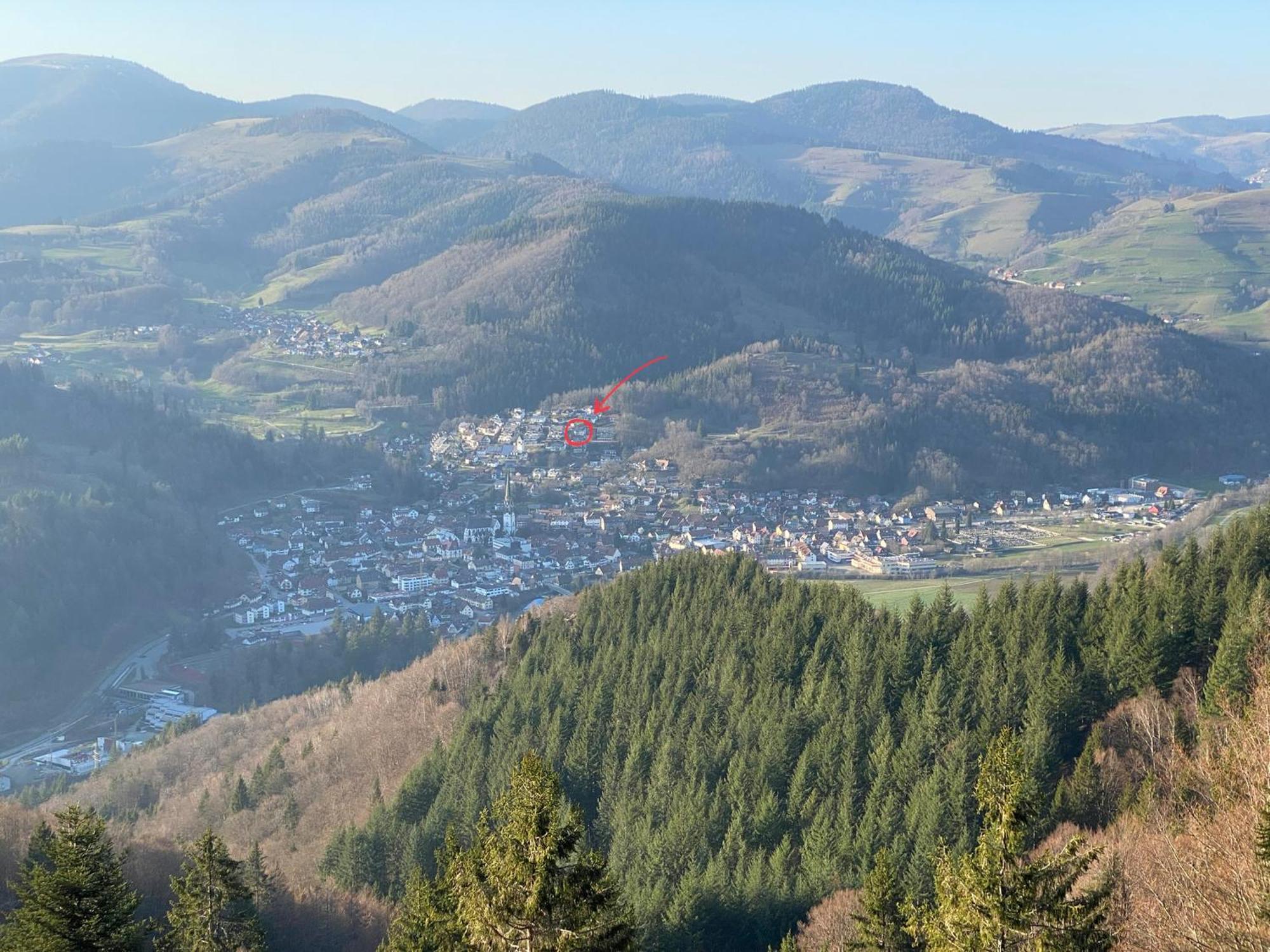 Ferienwohnung Traumblick Schönau im Schwarzwald Eksteriør billede